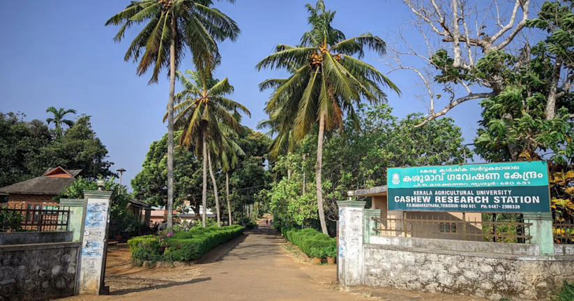 Madakkathara 1