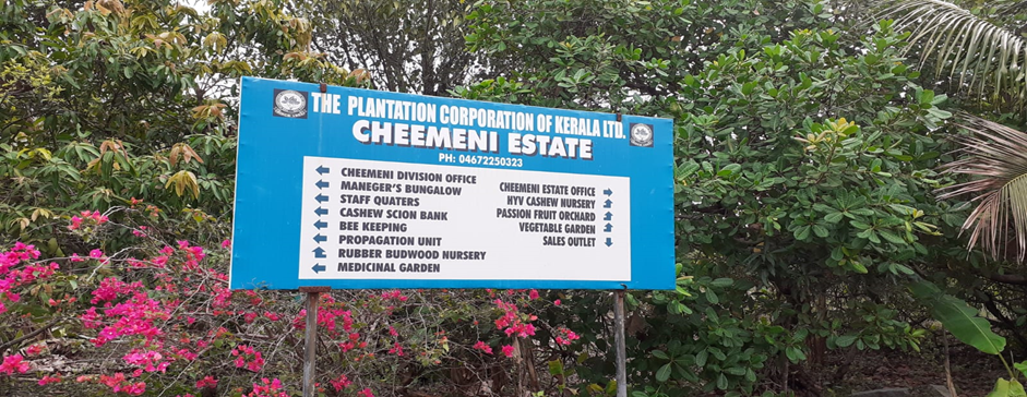 PCK Cheemeni 1